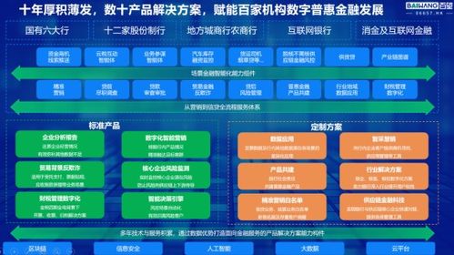 赵立威 以数据智能之笔，谱写普惠金融新篇章